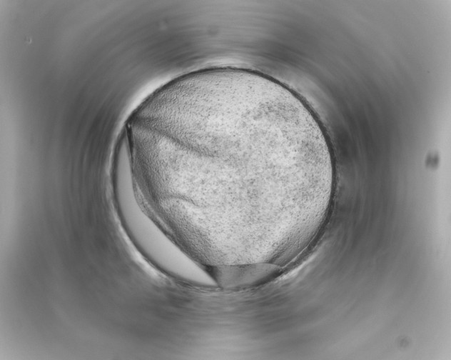X0000090440902200708102025