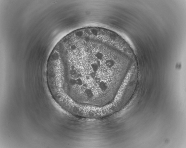 X0000090440903200708102025