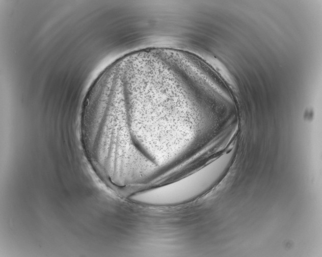 X0000090440904200708102025