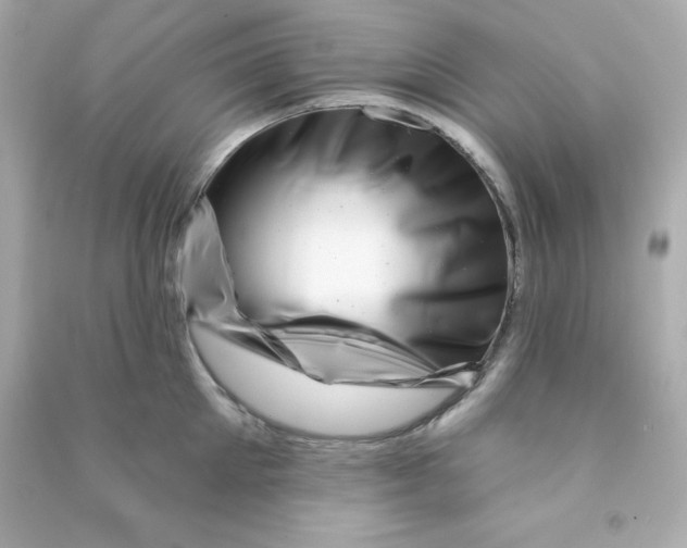 X0000090440905200708102025