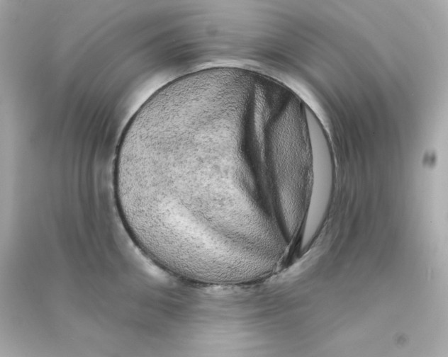 X0000090440906200708102025