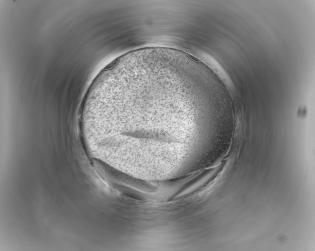 X0000090440908200708102024