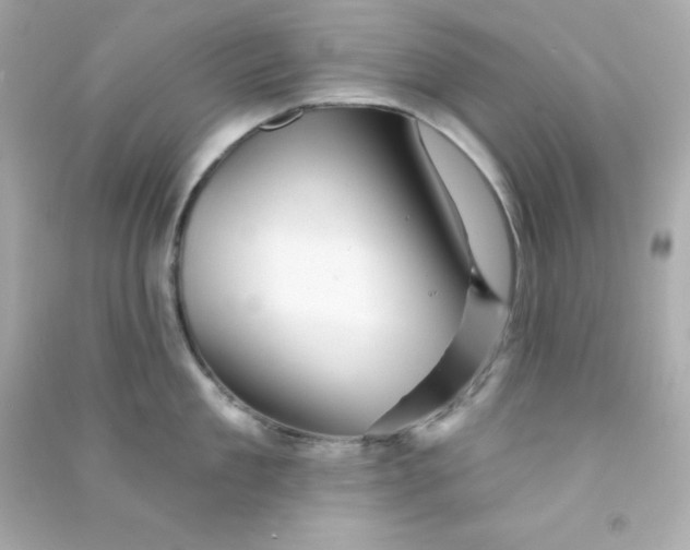 X0000090440909200708102024