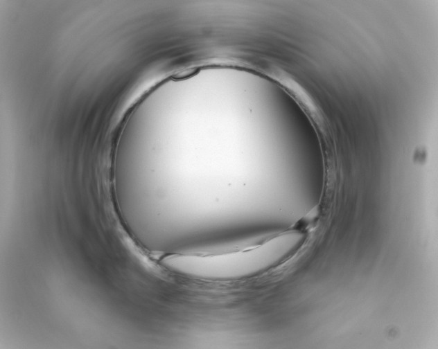 X0000090440910200708102024