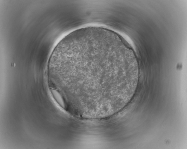 X0000090440911200708102024