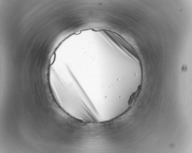 X0000090440912200708102024