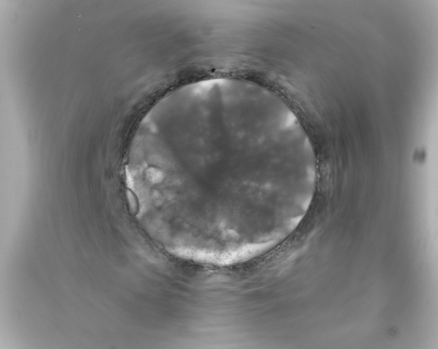 X0000090440913200708102024