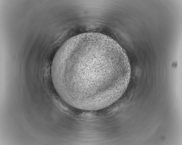 X0000090440914200708102024