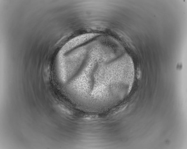 X0000090440915200708102024