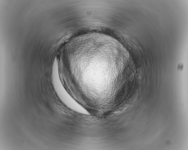 X0000090440916200708102024