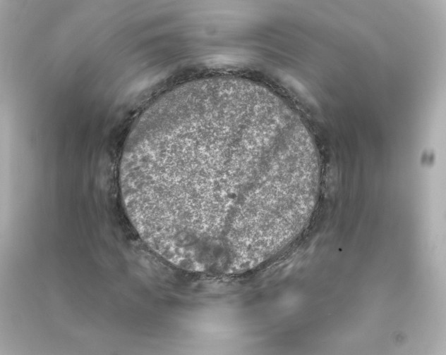 X0000090440917200708102024