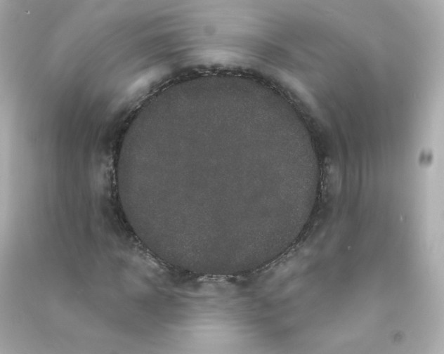 X0000090440918200708102024