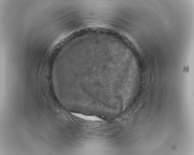 X0000090440919200708102024