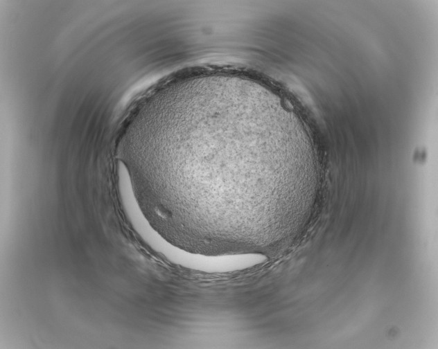 X0000090440920200708102024