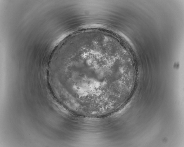 X0000090440921200708102024