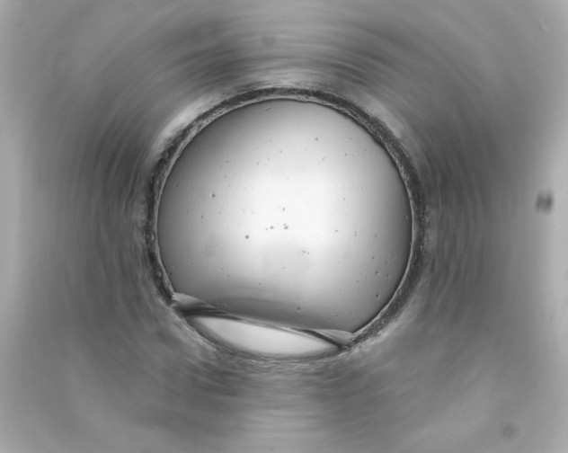 X0000090440922200708102024