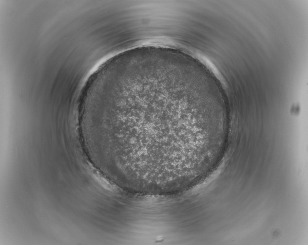 X0000090440923200708102024