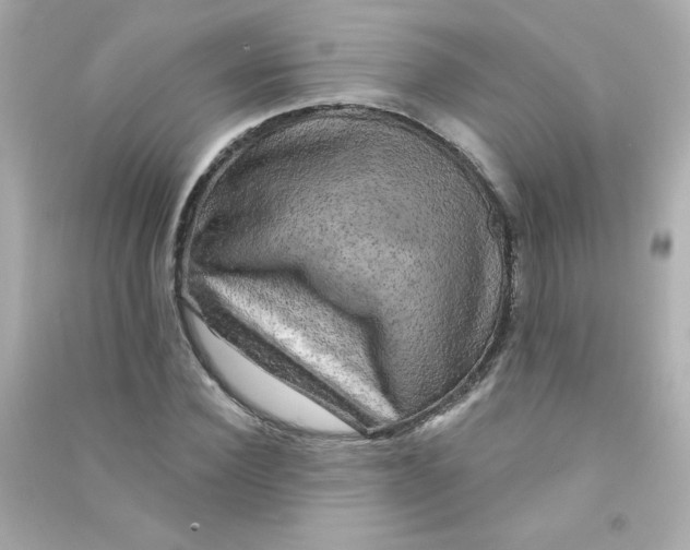 X0000090440924200708102024