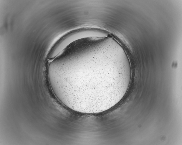X0000090440926200708102024