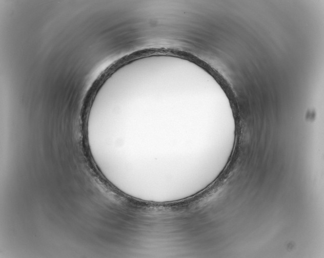 X0000090440927200708102024