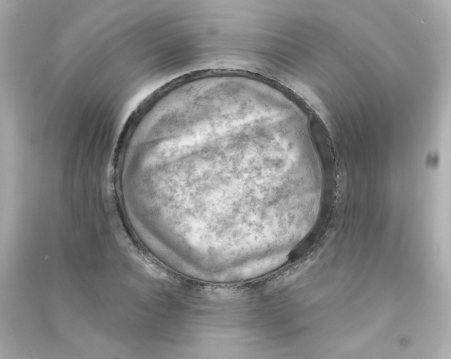 X0000090440928200708102024