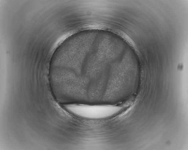X0000090440930200708102024