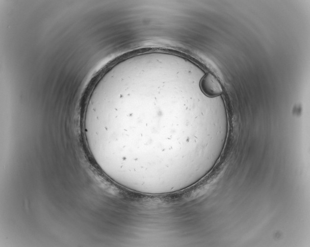 X0000090440931200708102024