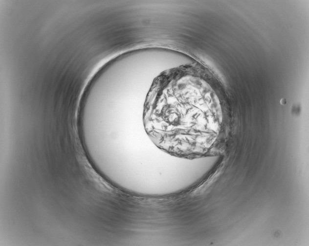 X0000090440932200708102024