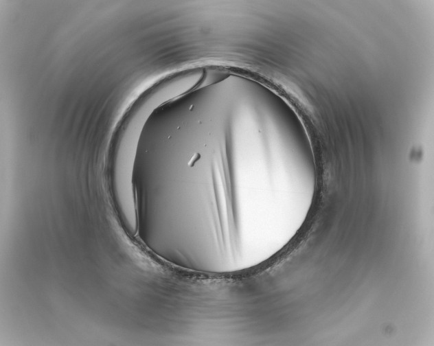 X0000090440934200708102024