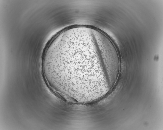X0000090440935200708102024