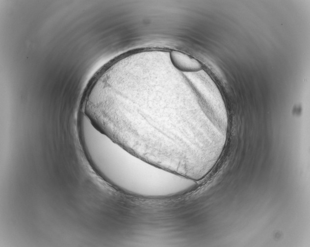 X0000090440936200708102024