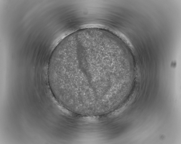 X0000090440937200708102024