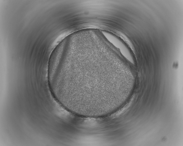 X0000090440938200708102024