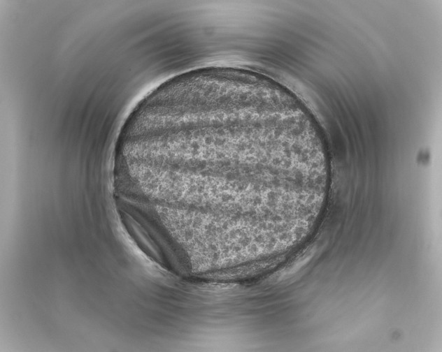 X0000090440939200708102024