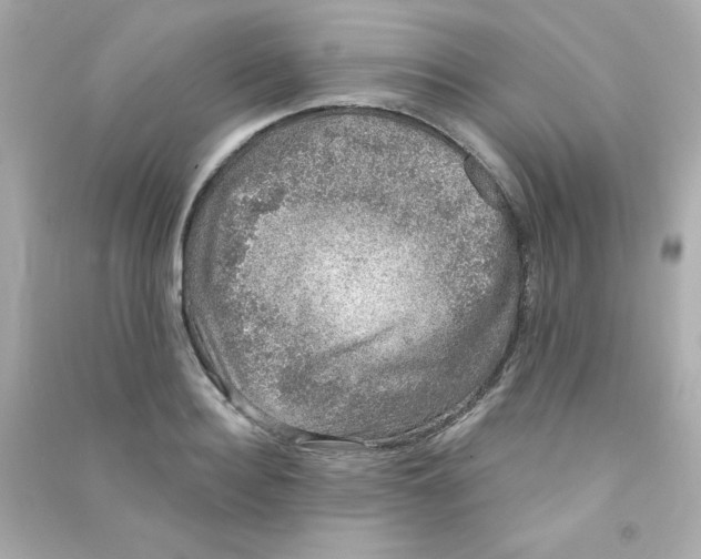 X0000090440940200708102024