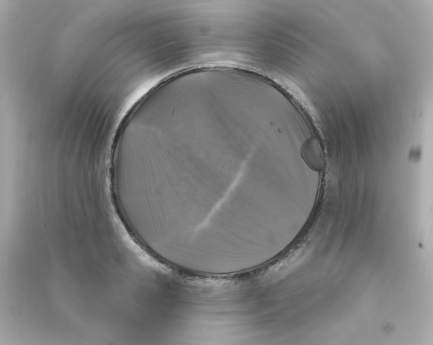 X0000090440941200708102024