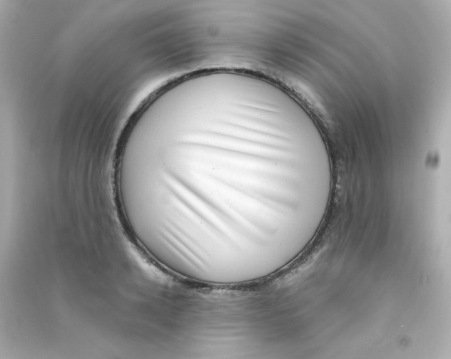 X0000090440942200708102024