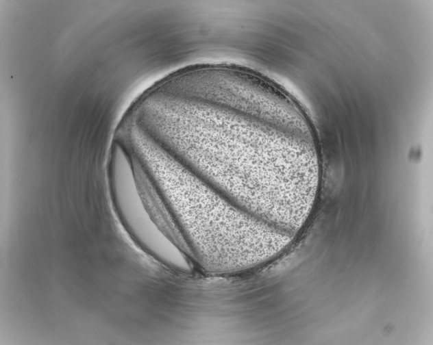 X0000090440943200708102024