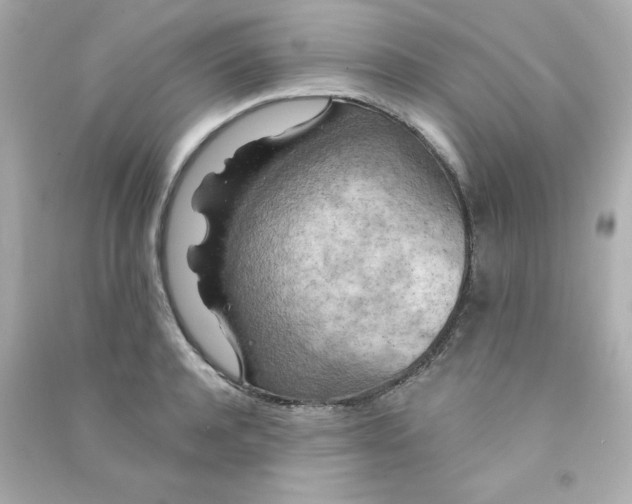 X0000090440944200708102024