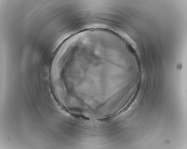 X0000090440945200708102024