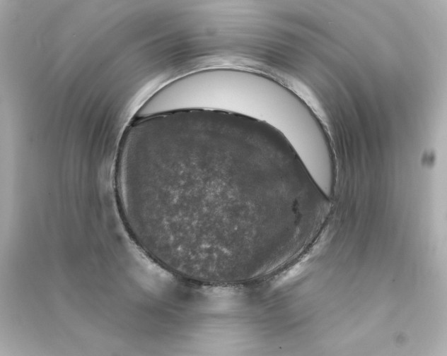 X0000090440946200708102024