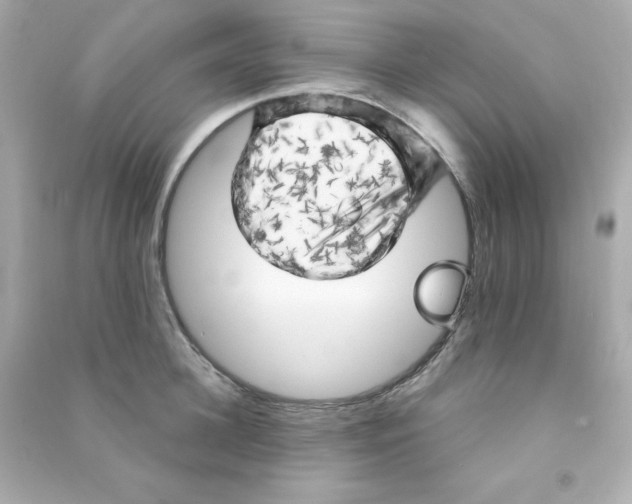 X0000090440948200708102024