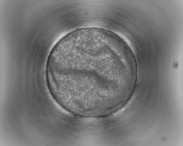X0000090440949200708102024