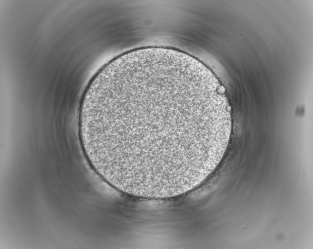X0000090440950200708102024