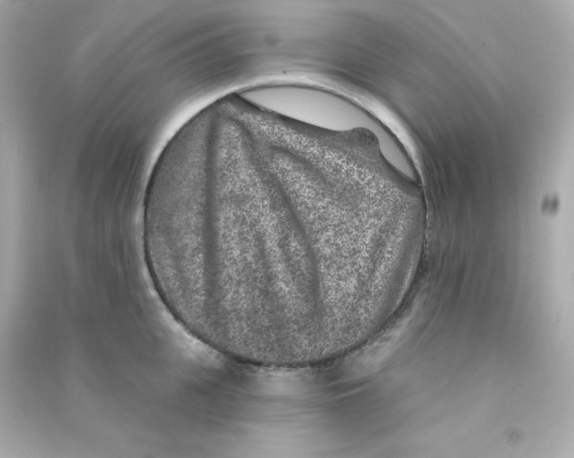X0000090440951200708102024