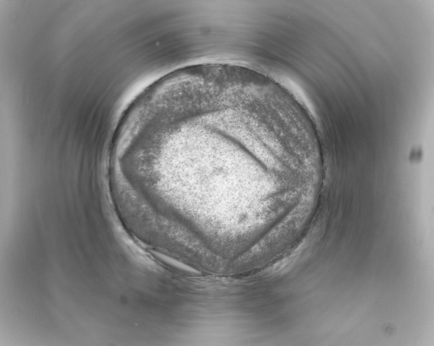X0000090440952200708102024