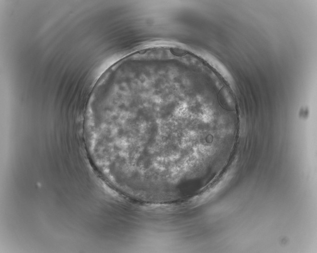 X0000090440953200708102024