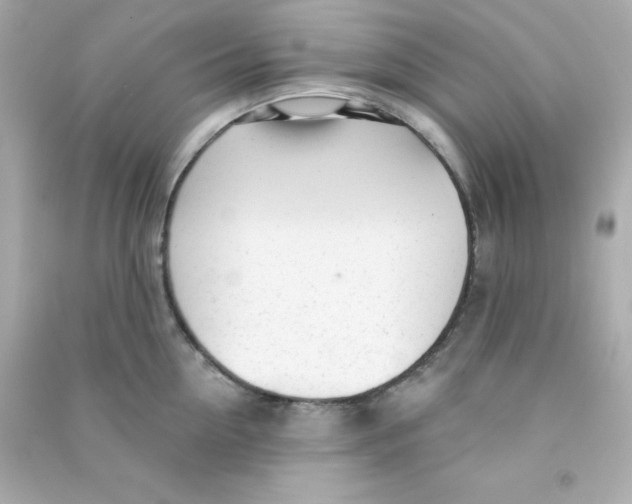 X0000090440954200708102024