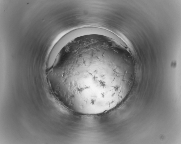 X0000090440956200708102024
