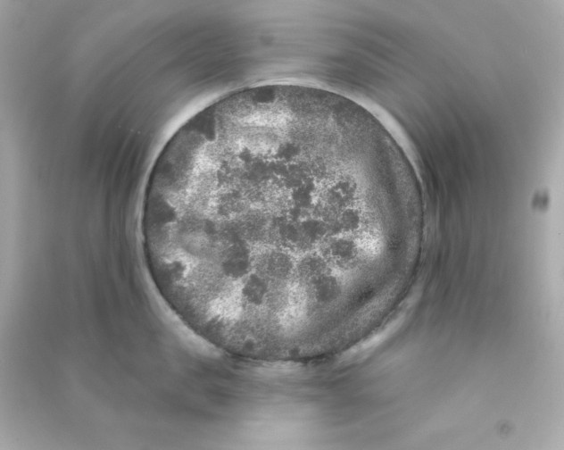 X0000090440957200708102024